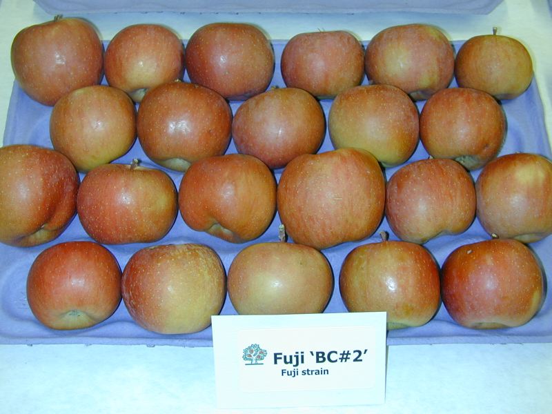 dscn1599