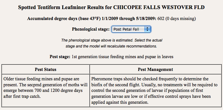 leafminer